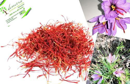 Agriturismo Demetra, b&b Demetra - Foto 4