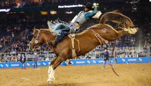 Texan Backyard Vibes l Cowboy Pool & BBQ l Pet-Friendly - Foto 3