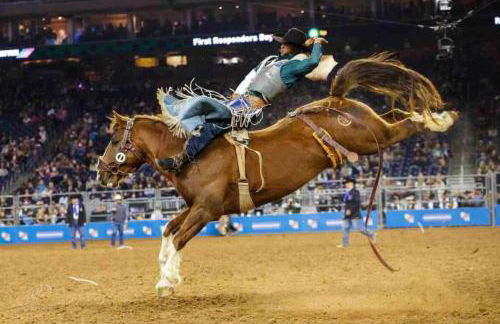 Texan Backyard Vibes l Cowboy Pool & BBQ l Pet-Friendly - Foto 3