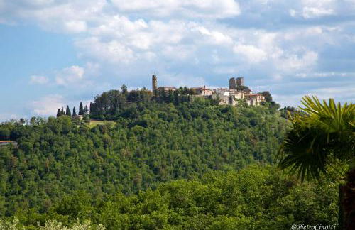 Podere Le Volte Country House La Mita - Foto 29