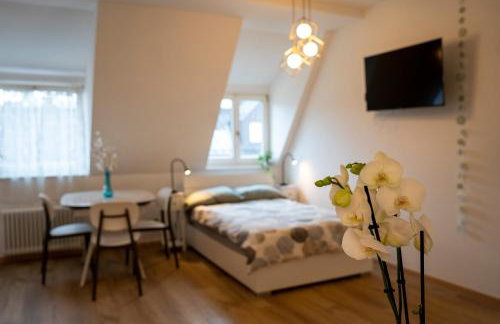 Talvera Dream - City center, Rooftop, Garage & Jacuzzi - Foto 6