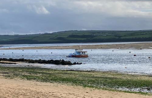 Hollyhocks - Foto 20