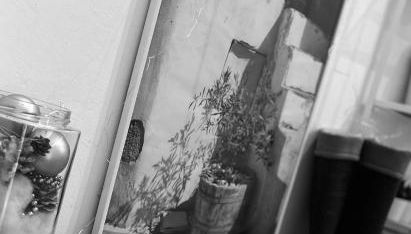 Sfumature di Puglia - Foto 5