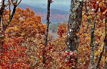Mountain Hideaway with Hot Tub & Fire Pit - Foto 27