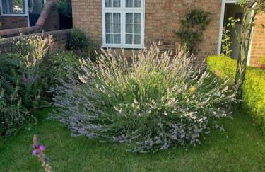 Lavender Cottage, a pretty period cottage in Louth - Foto 3