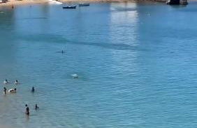 Saint Severe Jardim Apipema - Foto 49