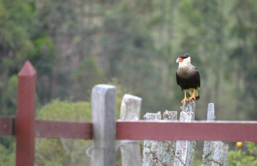 Casa poesia vista maravilhosa em Gonçalves-MG - Foto 51