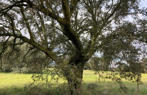 Casa Rural La Coscoja - Foto 38