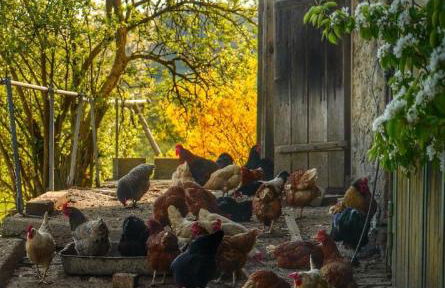 Ferienwohnung Mirtei - Foto 44