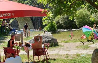 Loja Casa dos Cisnes - Serra da Estrela - Foto 43