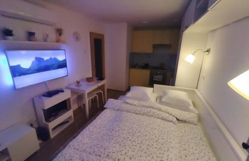 Fenix studio apartment, Zagreb - Foto 7