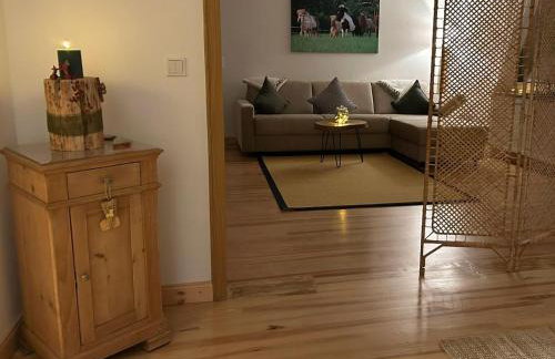 Ferienwohnung Hanfdell am Bostalsee, 90 qm, großer Balkon, barrierefrei & hundefreundlich - Photo 14