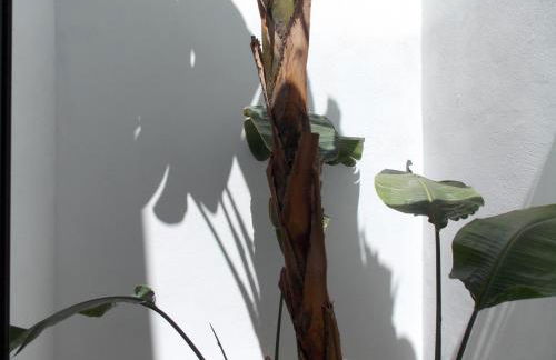 En la Majada Redonda - Foto 57