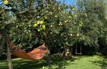 Il Trullo del Lazzeruolo - Foto 8