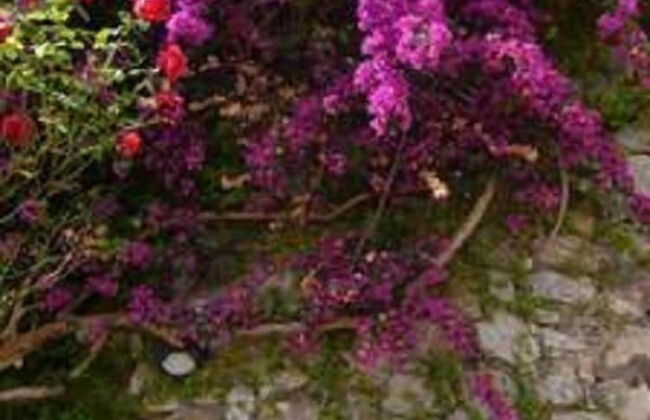 Villa Asia - Foto 69