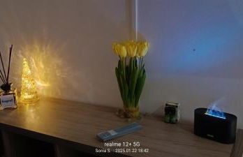 La Fenice - Photo 12