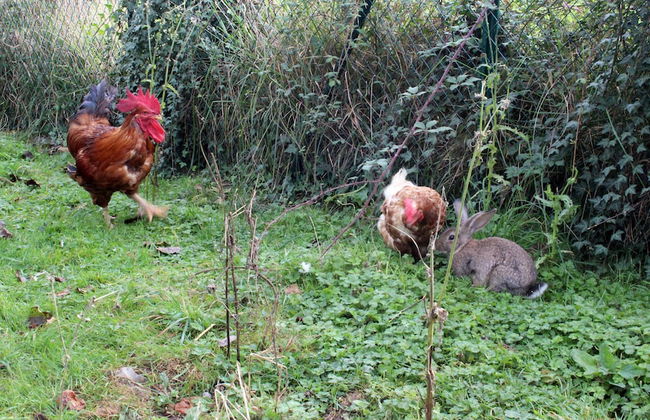 Monte Baserria - Photo 53