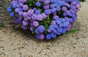 Gîte Paimpol Le Poullou - Photo 55