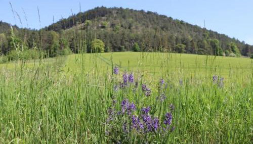 Wohnen im Denkmal - Photo 2
