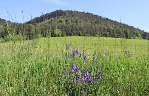 Wohnen im Denkmal - Foto 2