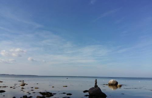 SeeStern Strandnahe Wohnung in Hohen Wieschendorf - Foto 32