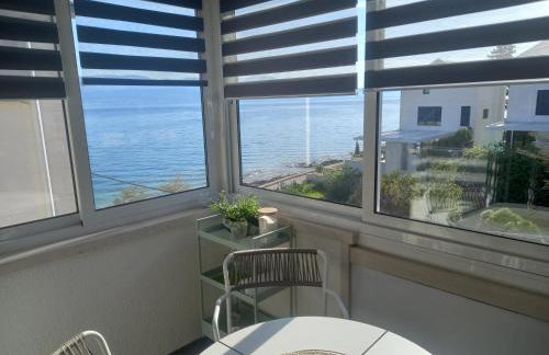 AFRODITA Bistrica - Photo 15