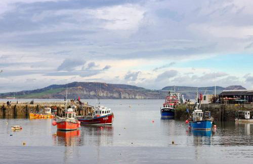 18th Century Thatched Cottage Parking & Garden - Foto 51