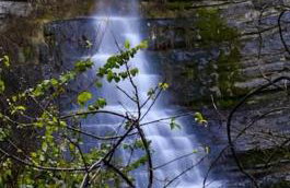 La maisonnette - Foto 41