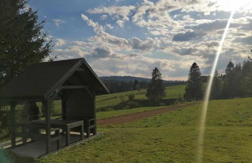 Olberówka - Foto 33