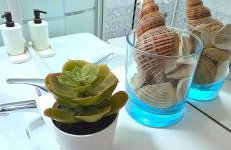 Dolce Casa MARTINEZ Stazione Tiburtina-Roma - Foto 55