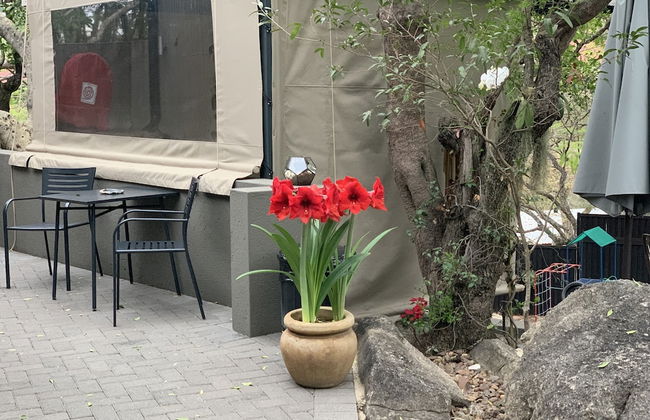 Birds Babble Self Catering Guest House - Foto 18