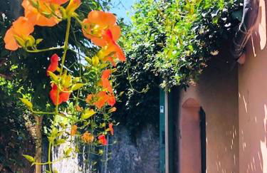 Romantic garden sea view Nervi - Foto 33