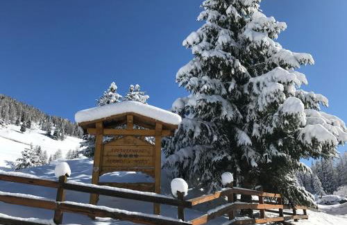 Cesa Mandi e Miky - Foto 75