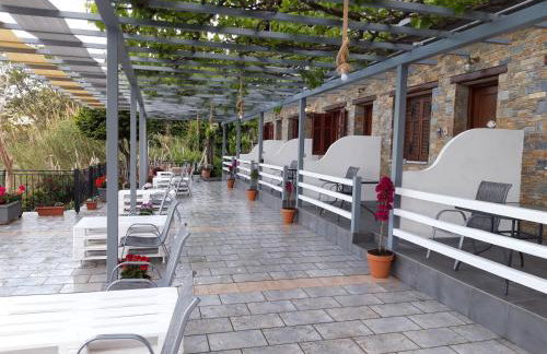 Ammos papanero - Foto 18