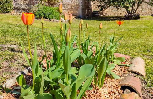 Can Janot - Casa con jardín cerca del lago - Foto 14