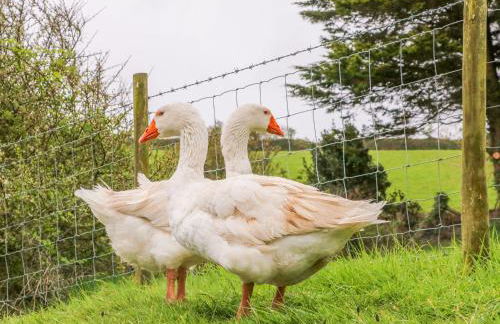 Round Barn - Foto 20