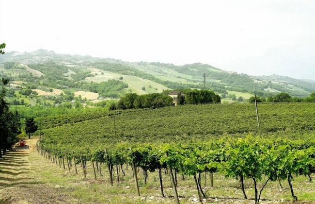 Casina Margherita - Foto 21