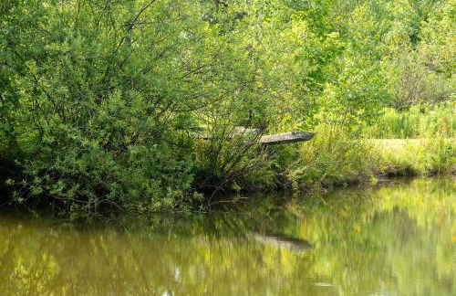 Bootleg Hollow - Foto 10