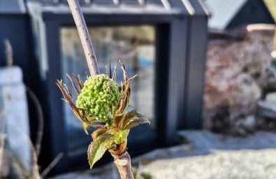 Wiejska Sowa Siedlisko - Domki w Górach Sowich - Foto 21