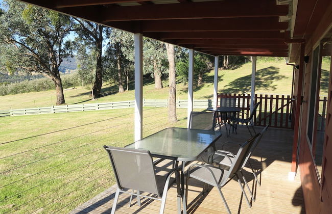 The Black Sparrow - Photo 45