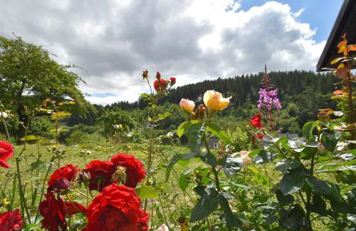 Charmantes Ferienhaus in Deifeld - Foto 61