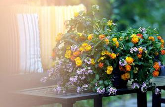 Cozy Cabin Retreat in Midway - Foto 46