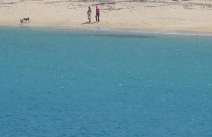 Spacious Villa close to an amazing Sithonia beach - Foto 62