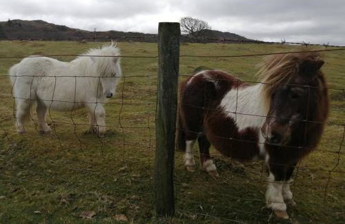 299 Willow Lodge - Foto 54