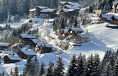 La Perle des Alpes C10 Apart.4* #Yolo Alp Home - Foto 31