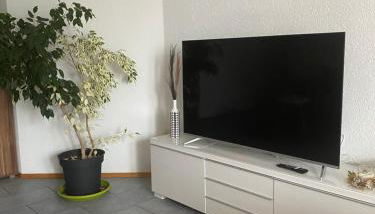 Gemütliche, sonnendurchflutete Ferienwohnung in Bodenseenähe am Säntisblick - Foto 3