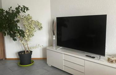 Gemütliche, sonnendurchflutete Ferienwohnung in Bodenseenähe am Säntisblick - Foto 3