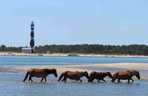 Harkers Hideaway - Waterfront with Private Beach - Foto 48