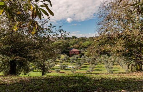 Villa Flavia - Foto 62