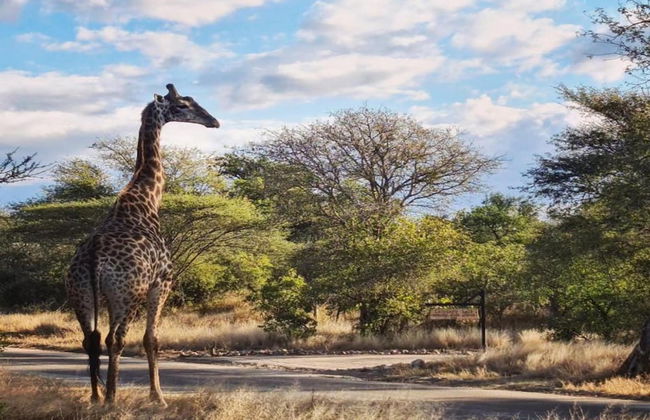 Holiday Home in Hoedspruit With Private Pool - Photo 38